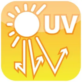 Noor IBC Container Cover 100 x 120 x 116 cm Anthrazit