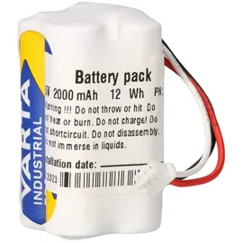 Akkuman BP1 Mignon 1000 mAh 2 St.