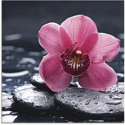 Glasbild ARTLAND "Stillleben mit Kiesel und einer Orchidee", pink (farbe bild(er): pink), B:20cm H:20cm, Bilder, in verschiedenen Größen