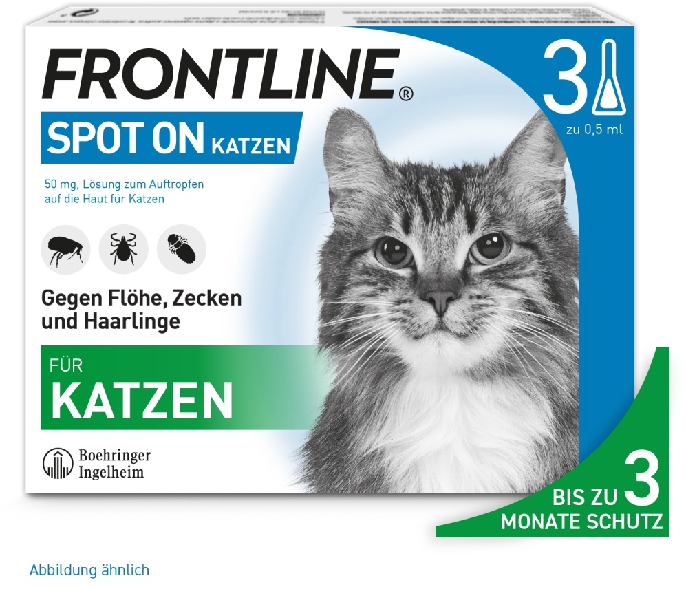 frontline spot katze