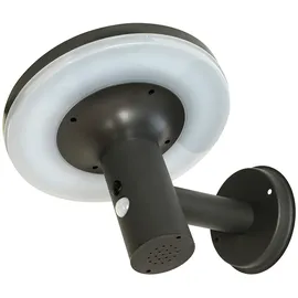 Expo Börse Wandlampe mit Bewegungsmelder LED Solarleuchte Haustürlampe Fassadenleuchte anthrazit Gartenlampe, 250lm, kaltweiß, BxH 24x21 cm, 2er Set