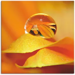 Artland Leinwandbild »Wassertropfen II«, Blätter, (1 St.), auf Keilrahmen gespannt Artland Farbe Bild(er): orange