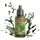 Army Painter Acrylfarbe Forest Sprite 18ml