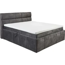 ed exciting design Boxbett AVIDANO 6 - grau