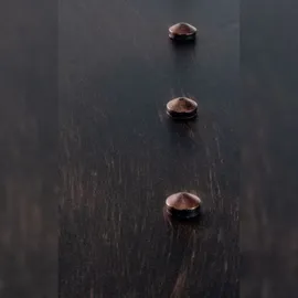 CLP Servierwagen Spring bronze