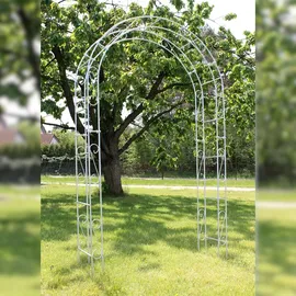 DanDiBo Ambiente Rosenbogen 140 x 0 x 0 cm Silber