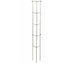 Siena Garden Gemüse-Rankturm 202 x 0 x 0 cm Silber