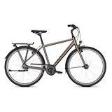 Kalkhoff Image Lite City Bike Crystalgrey Matt | 28" Herren Diamant M/50cm