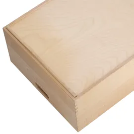 Zeller Aufbewahrungskiste 60 x 40 x 21 cm 1-tlg. beige