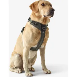 Hundegeschirr 500 Outdoor M