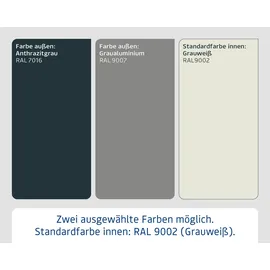 EcoStar Metallgerätehaus Euroline EFD14 anthrazit 310 x 310 cm 2-flg.