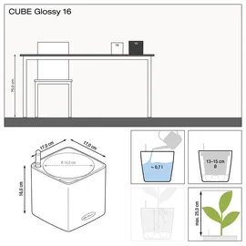 LECHUZA Cube Glossy 16 Komplettset  17 x 17 x 16 cm anthrazit highgloss