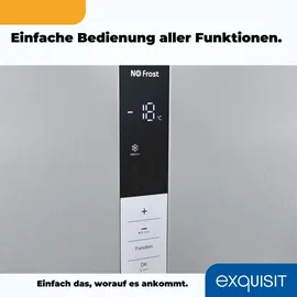 Exquisit GS5380-NF-H-050D Silber