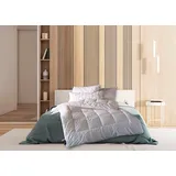 billerbeck Microfaserbettdecke BILLERBECK "Pamina Uno, Bettdecke in 135x200 cm, 155x220 cm, Sommer, Winter", weiß, B:135cm L:200cm, Bezug: 100% Polyester. Füllung: 100% Polyester, Bettdecken, Microfaserbettdecke, Kuschelige Microfaserdecke