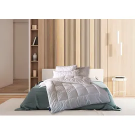 billerbeck Microfaserbettdecke BILLERBECK "Pamina Uno, Bettdecke in 135x200 cm, 155x220 cm, Sommer, Winter", weiß, B:135cm L:200cm, Bezug: 100% Polyester. Füllung: 100% Polyester, Bettdecken, Microfaserbettdecke, Kuschelige Microfaserdecke