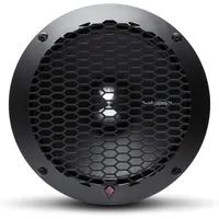 Rockford Fosgate PPS4-10
