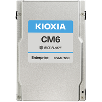 800 GB 2,5" KCM61VUL800G