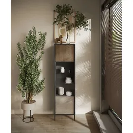 Home Affaire Standvitrine Everest 55 x 40 x 203 cm Grau