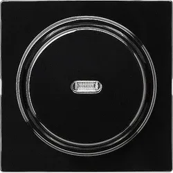 GIRA Wechsel-Taster sw 012047