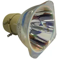 Philips Beamerlampe (nur Leuchtmittel) für ACER (ersetzt: MC.JNW11.001)