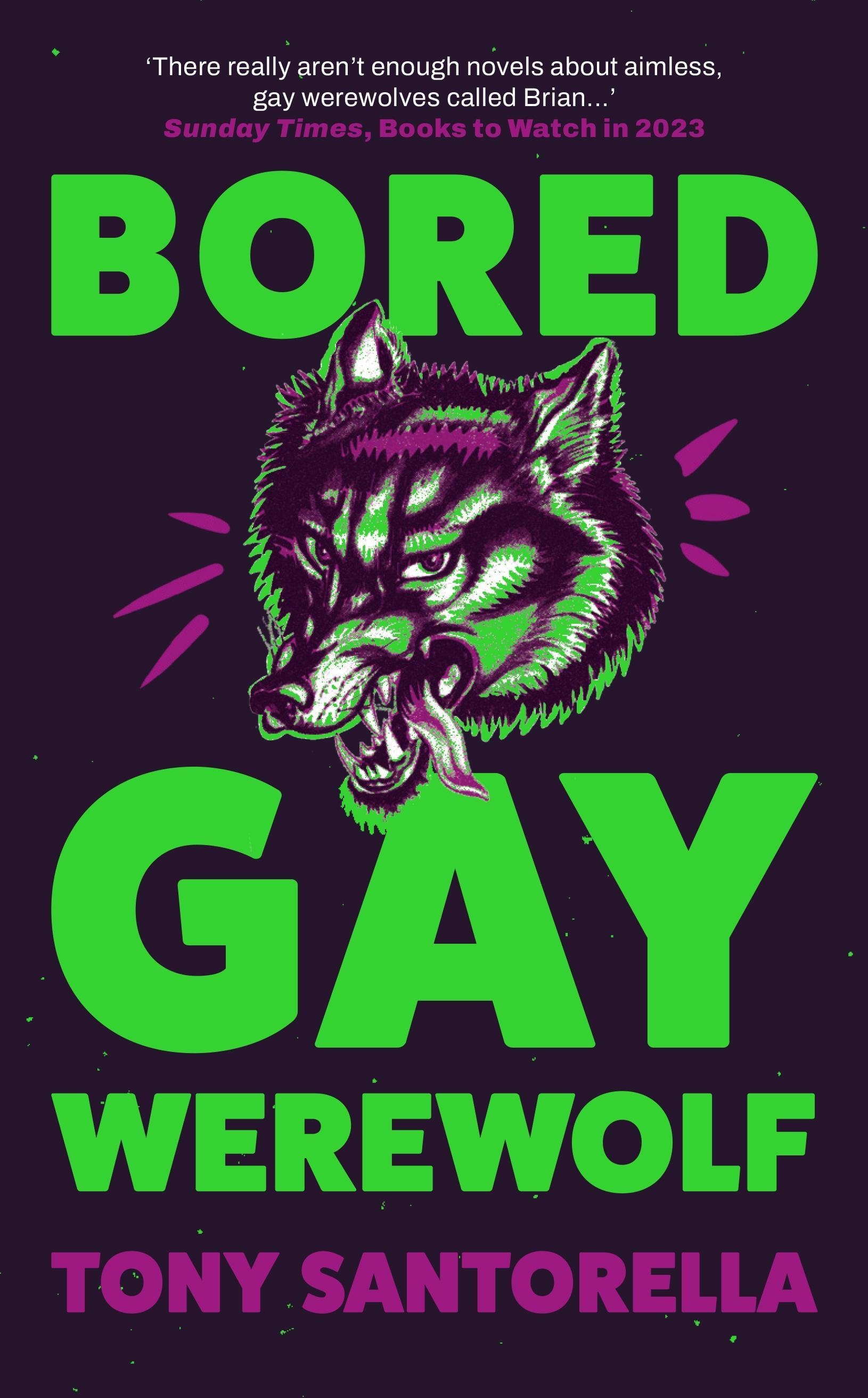 Bored Gay Werewolf - Tony Santorella  Kartoniert (TB)