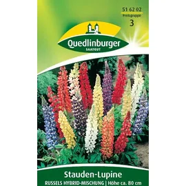 Quedlinburger Stauden-Lupine, Russels Hybrid-Mischung