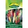 Quedlinburger Stauden-Lupine, Russels Hybrid-Mischung