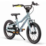 PUKY LS-PRO 14 (2025) 14" ash blue