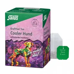 Salus Cooler Hund Früchtetee bio (15Btl)