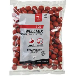 Boilies Wellmix Erdbeere 20 mm 1 kg EINHEITSFARBE No Size