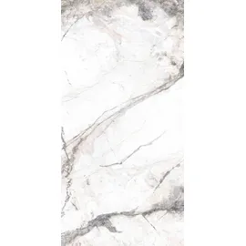 Euro Stone Bodenfliese Feinsteinzeug Caldera Silber 60 x 120 cm