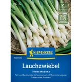Kiepenkerl Profi-Line Winterlauchzwiebel Tonda musona