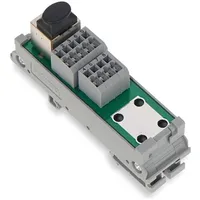 WAGO GmbH & Co. KG RJ-45 Übergabemodul 289-175