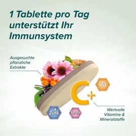 STADA Cetebe Immun Aktiv Tabletten