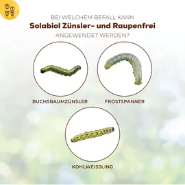 Solabiol Zünsler- & Raupenfrei Insektizid 15 ml