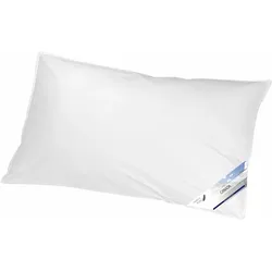 Federkissen KBT BETTWAREN "Canada", weiß, B:40cm L:80cm, Bezug: 100% Baumwolle. Füllung: 85% Federn, 15% Daunen, Kopfkissen