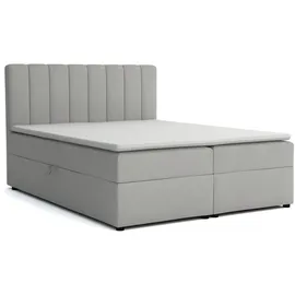 dein schlaf 24 Boxspringbett ROCK 180x200 Velour Hellgrau H3 - Schwarz