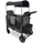 wonderfold W2 Elite Bollerwagen grau