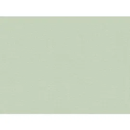 A.S. Création Vliestapete Greenery Uni strukturiert Mintgrün FSC®
