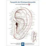 mgo fachverlage Poster - Topografie der Ohrakupunkturpunkte