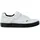 ION Seek Peak White 40