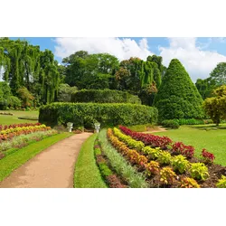 Fototapete PAPERMOON "GARTEN-BLUMEN BÄUME PFLANZEN PARK STEINE WALD BLÜTEN", bunt, B:3,50m L:2,60m, Vlies, Tapeten