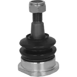 SKF VKDS 312519