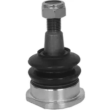 SKF VKDS 312519
