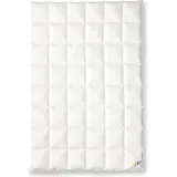OBB 120 Jahre Daunendecke Sommer 155x220