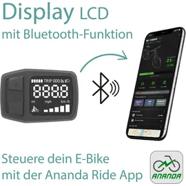 Tretwerk Amber Nexus 28 Zoll RH 48 cm weiß
