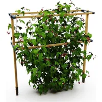 Gusta Garden Berry Buddy, Füße