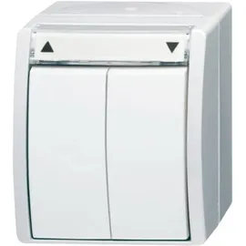 Busch-Jaeger Taster 2621/4 W-54