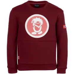 Kinder Sweatshirt Trolltunga Kastanienbraun karamellbraun 158-164cm 13-14J