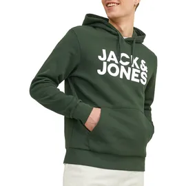JACK & JONES Corp Logo Kapuzenpullover Mountain View / Fit Reg / Large Print 2XL